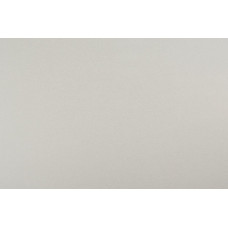 Белый 1110/E EVO tech 3000*600*38мм (8 гр)