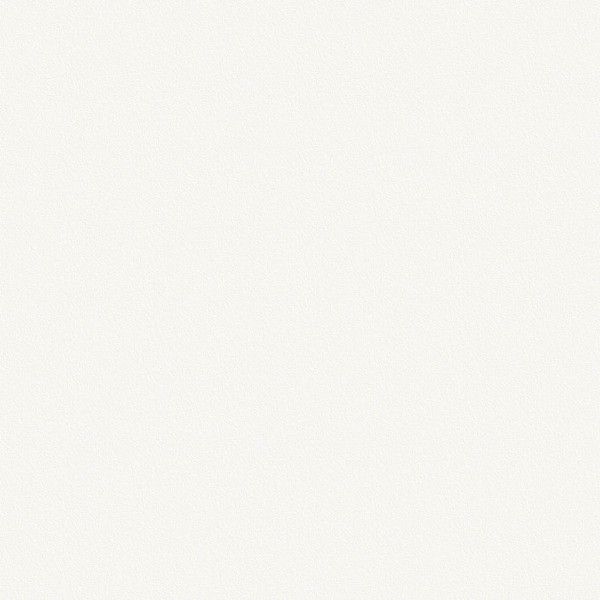 ДВП Белое 2800х2070мм