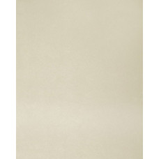 Дымчатый 4002 luc 3000*600*26мм (9 гр)