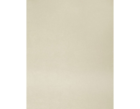 Дымчатый 4002 luc 3000*600*26мм (9 гр)